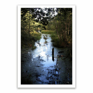 Källan, konstposter