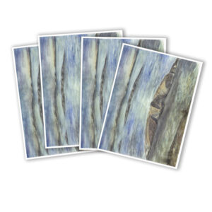 Tallriksunderlägg 4-pack