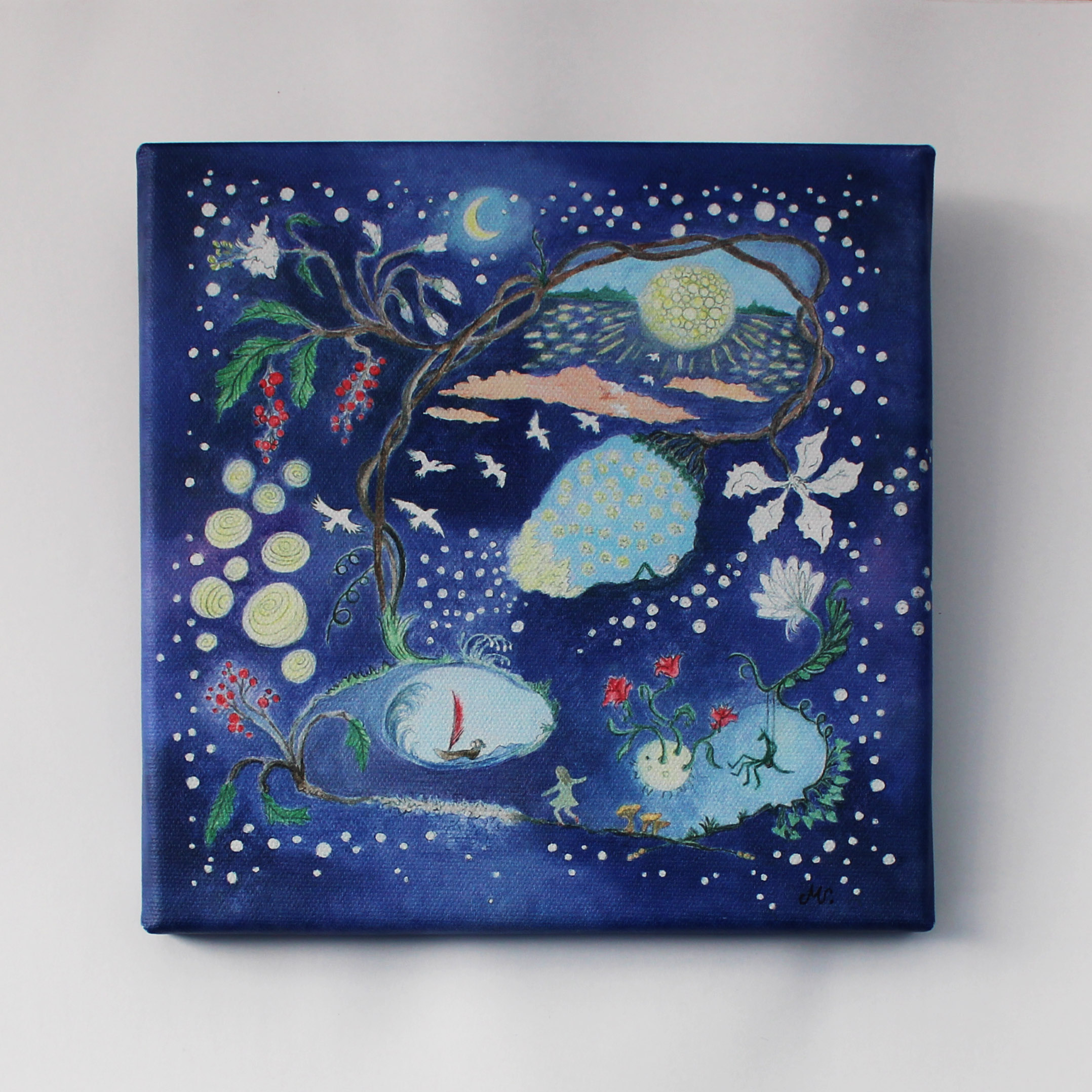 Universum, canvastryck