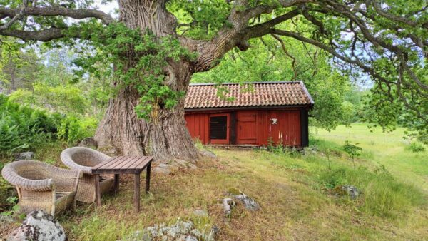 Ett kreativt och spirituellt retreat i Stockholms skärgård 22-27 augusti - Bild 6